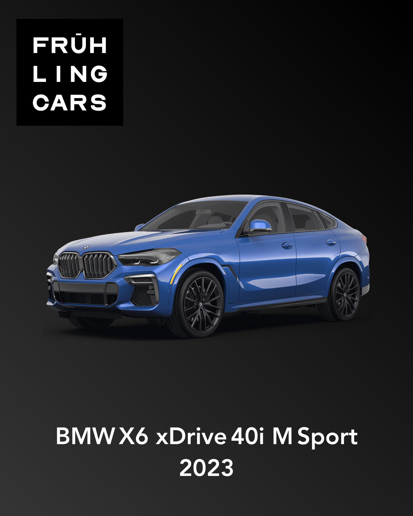 BMW X6 xDrive 40i M Sport 2023